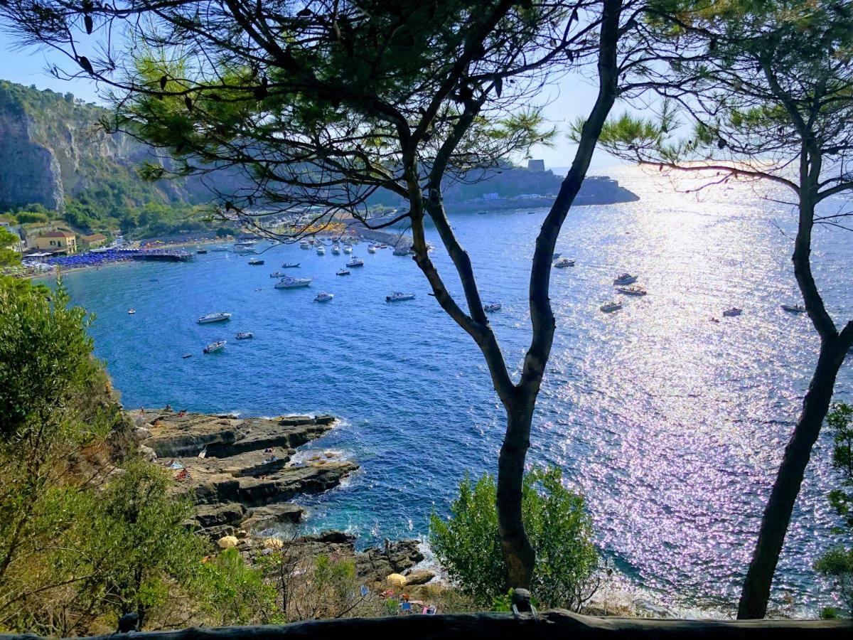 Le Muse Suite Σορέντο Εξωτερικό φωτογραφία